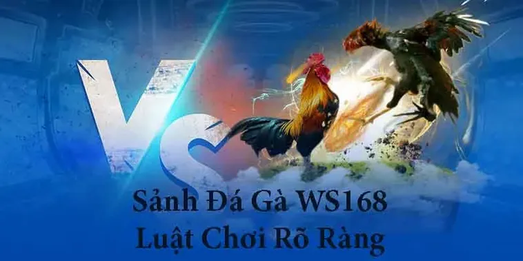 Trở Thành Cao Thủ Với Cách Chơi Đá Gà WS168 Tại SV368 Siêu Chuẩn