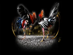 Hướng Dẫn Cách Chơi Đá Gà Sabong Tại SV368 Từ A Đến Z Cho Kê Thủ