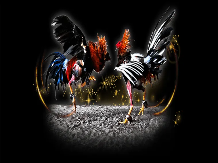 Hướng Dẫn Cách Chơi Đá Gà Sabong Tại SV368 Từ A Đến Z Cho Kê Thủ